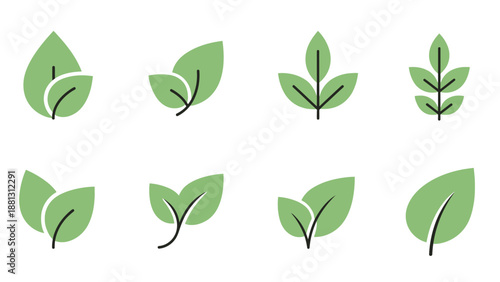 Collection of various green leaf shapes.