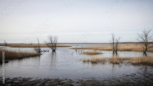 Wallpaper Mural Serene winter wetland panorama featuring tranquil still water reflecting bare trees and golden reeds under a soft, muted sky, highlighting natural beauty and calm wilderness Torontodigital.ca