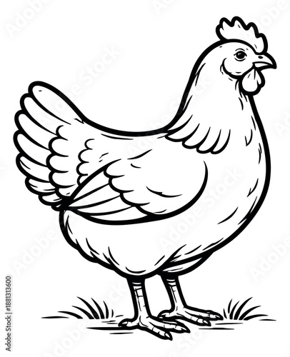 Hand drawn line art illustration of a chicken depicting it standing on stylized grass for farm and agriculture themes