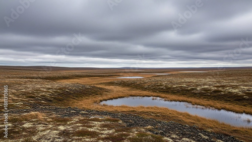 Wallpaper Mural Expansive tundra landscape with a winding stream under a dramatic cloudy sky, showcasing the rugged beauty of the northern wilderness and untouched nature Torontodigital.ca