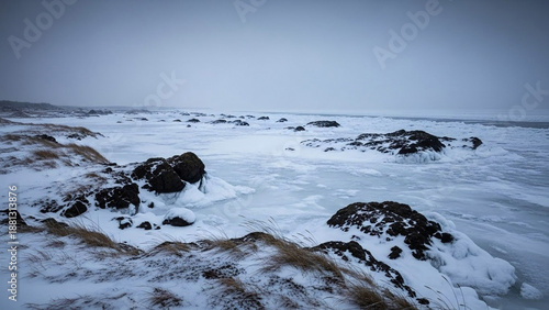 Wallpaper Mural Frozen coastal landscape with dark, rugged rocks emerging from a vast icy sea and snow-covered shores under a dramatic, muted sky, depicting nature's cold beauty Torontodigital.ca