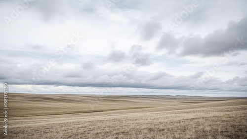 Wallpaper Mural Vast expanse of dry, golden grassland stretching to the horizon under a dramatic, cloudy sky, evoking a sense of solitude and natural grandeur Torontodigital.ca