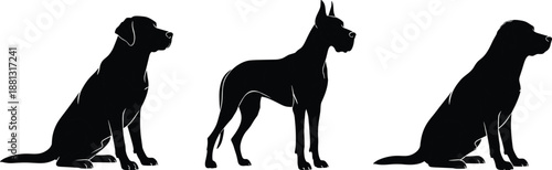 Set of dog silhouettes in sitting and standing poses, isolated on white background, black pet animal collection for logo, training, veterinary, adoption and vector design