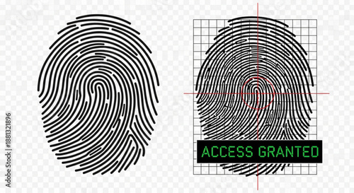 Biometric Fingerprint Scan with Digital Access Granted Security Concept