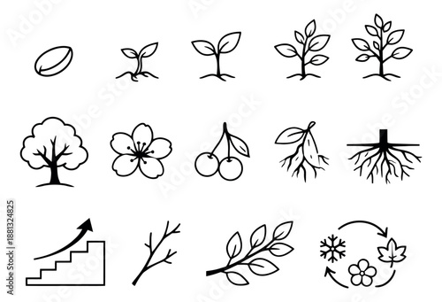 Hand drawn line art plant and nature icon set featuring seed, sprout, tree, flower, roots, and seasonal cycle for educational concepts