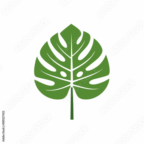 Tropical Green Monstera Leaf Graphic Simple Flat Style Isolated on White Surface