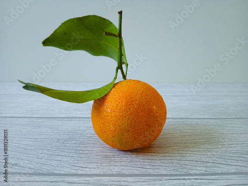 Wallpaper Mural tangerine on table Torontodigital.ca