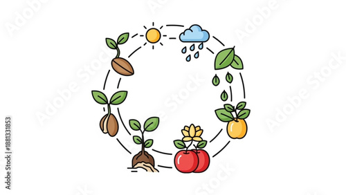 The cycle of plant growth from seed to fruit with sun rain and cloud