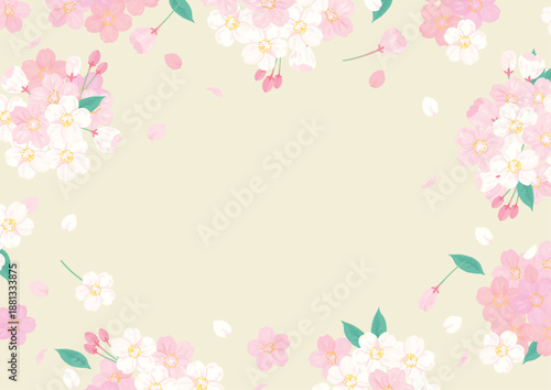 桜　背景イラスト