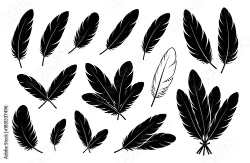Line art and silhouette feather set featuring elegant bird plumes in various arrangements for decorative design