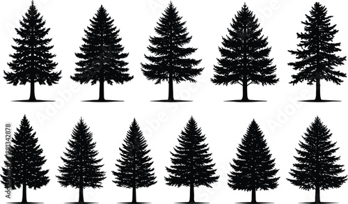 Black Pine Tree Silhouette Collection with Various Evergreen Conifer Shapes Isolated on White Background for Forest Nature Conservation Christmas Landscape and Graphic Design Illustration