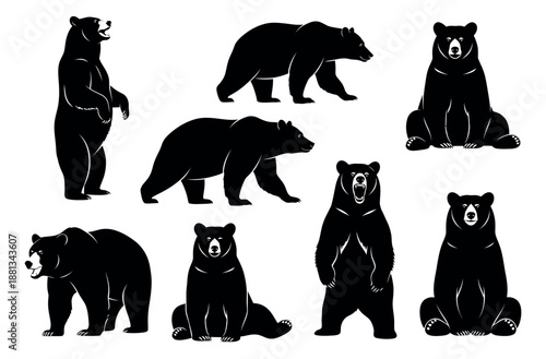 Stylized bear clip art set featuring various poses for animal design