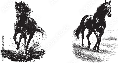 Running Horse Vector Illustration Set with Galloping Stallions Black and White Ink Sketch Art