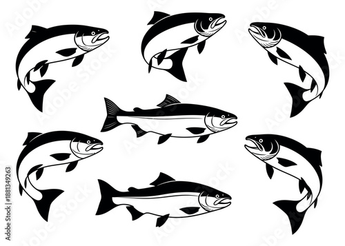 Graphic fish set featuring salmon jumping and swimming for fishing design and branding