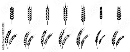 Wheat ears icon set. Wheat logo. Grain spikes set icons.Grain icon. Agriculture symbol. vector illustration