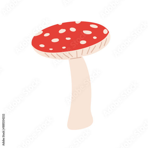 Red fly agaric mushrooms in flat vector style. Cute hand-drawn toadstool illustrations with different shapes and angles, isolated on white background. Forest fungi, fairy tale, botanical