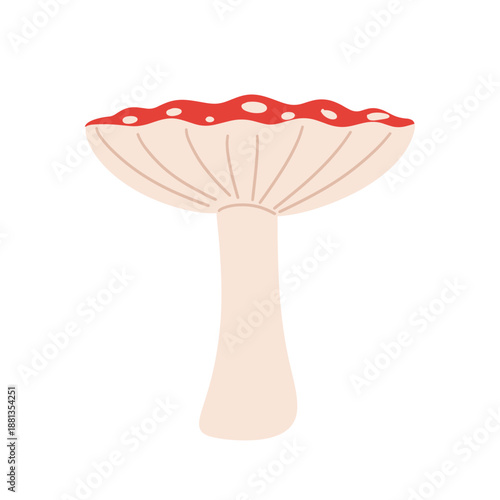 Red fly agaric mushrooms in flat vector style. Cute hand-drawn toadstool illustrations with different shapes and angles, isolated on white background. Forest fungi, fairy tale, botanical