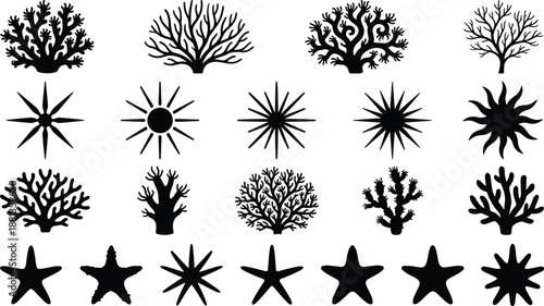 Coral and star silhouette set, sunburst icons, marine and nature shapes, black vector graphic, decorative design elements collection