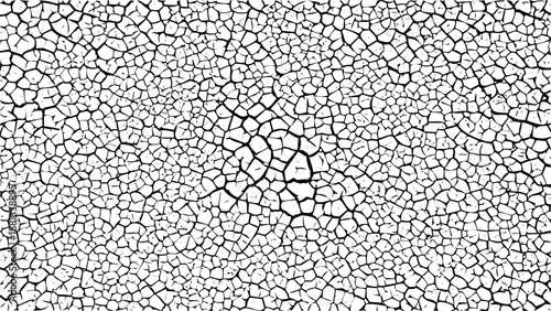 Detailed pattern of cracks Vector