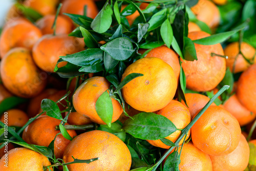 A vibrant pile of ripe mandarins with glossy green leaves is displayed in bulk, capturing the fresh texture and vivid orange color of the fruit. The arrangement highlights the natural produce and