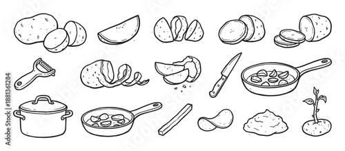 Hand-drawn potato illustrations collection showing the cooking process from raw tuber to fried, mashed, and chipped dishes with kitchen utensils like a peeler and knife
