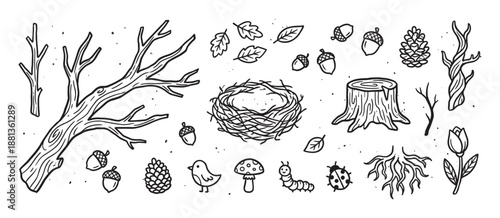 Hand-drawn black and white forest elements set with a tree branch, bird nest, stump, acorns, and insects in a cute doodle style illustration for nature-themed projects