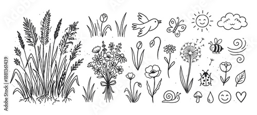 Hand-drawn black and white nature clip art collection with cute spring and summer symbols like a bird, ladybug, poppy, grass, cloud, and snail in a simple sketch illustration