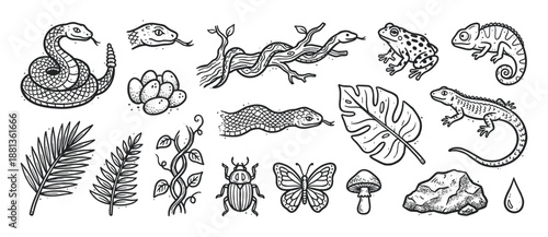Collection of hand-drawn jungle animal and plant illustrations in a vintage engraving style, featuring a snake, frog, lizard, chameleon, butterfly, tropical leaves, and mushroom