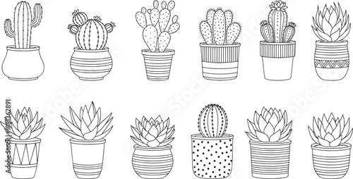 Cacti and succulent plants outline icons in pots on transparent