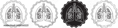 Human lungs in frames vector illustration black and white anatomy art