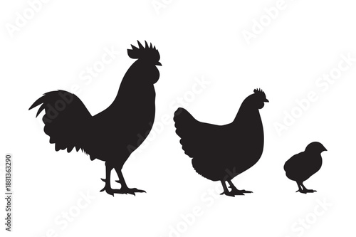 Chicken chick hen rooster silhouette icon set Vector