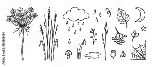 Set of hand-drawn black ink illustrations featuring autumn nature elements like a wildflower, mushroom, rain cloud, moon, and spiderweb in a whimsical doodle style