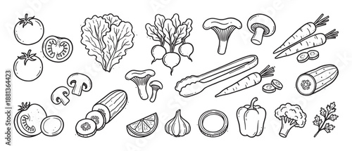 Hand drawn black and white vegetable illustrations set featuring a collection of fresh food ingredients for healthy cooking in a cute doodle sketch style