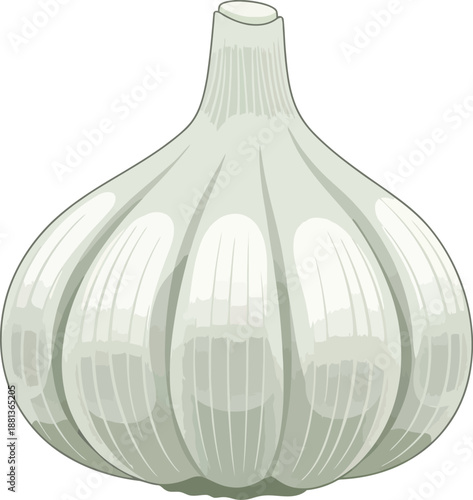 A single, stylized garlic bulb with a smooth, white papery skin