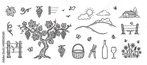 Hand-drawn vineyard and winemaking doodle illustrations set with a grapevine, grapes, bottle, glass, and rustic farm landscape elements in a charming black and white sketch style