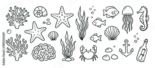 Set of hand-drawn sea life illustrations featuring cute cartoon characters like a crab, starfish, jellyfish, seahorse, fish, and coral in a simple black and white doodle style