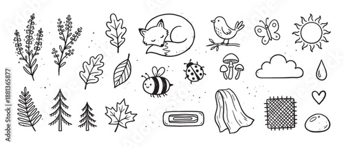 Set of cute black ink doodle illustrations featuring a sleeping fox, bee, bird, leaves, sun, and other whimsical forest and woodland elements in a charming, rustic style