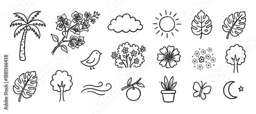 Collection of hand-drawn nature doodles featuring a palm tree, sun, flower, leaf, bird, and butterfly in a simple black line art sketch style for various design concepts