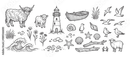 Collection of hand-drawn coastal and rural illustrations featuring a highland cow, lighthouse, boat, sheep, and various sea life elements in a detailed black and white sketch style