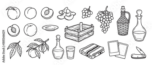 Collection of hand-drawn picnic illustrations featuring peaches, grapes, a wicker wine bottle, a wooden crate, and a pocket knife in a rustic black and white line art style