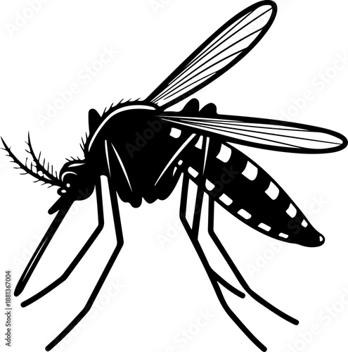 Mosquito silhouette vector illustration