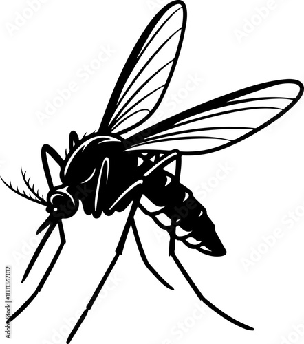 Mosquito silhouette vector illustration