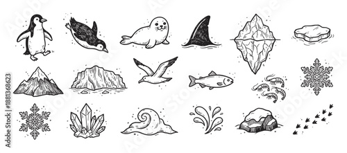 Set of hand-drawn arctic and antarctic illustrations featuring a penguin, seal, iceberg, snowflake, and other polar wildlife elements in a black and white doodle sketch style