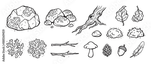 Hand-drawn set of black and white forest elements including a stone, root, leaf, mushroom, acorn, and feather in a simple doodle style for nature-themed design