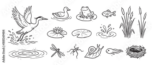 Collection of hand-drawn pond life illustrations featuring a heron, duck, frog, fish, dragonfly, and snail in a simple black and white doodle sketch style for nature concepts