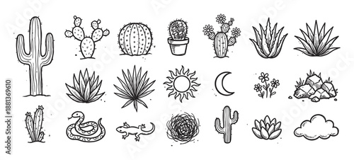 Collection of hand drawn desert illustrations featuring various cacti, agave plants, a snake, lizard, sun, and moon in a rustic, sketchy, doodle line art style for nature designs