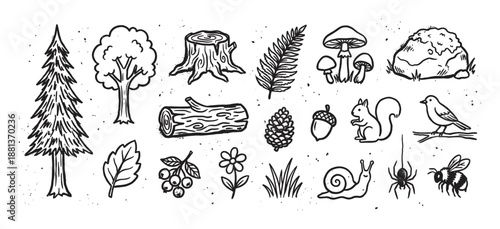 Set of black and white forest illustrations with a hand-drawn, rustic doodle style, including a squirrel, bird, mushroom, pine tree, snail, and other woodland elements