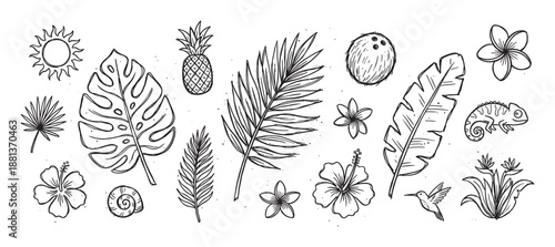 Set of hand-drawn tropical summer elements in a monochrome doodle style, including monstera and palm leaves, hibiscus and plumeria flowers, pineapple, coconut, and exotic animals