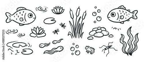 Collection of hand-drawn pond life illustrations featuring cute fish, a frog, tadpoles, and plants in a simple black and white doodle style with a charming, sketchy aesthetic