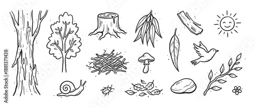 Collection of hand-drawn forest nature illustrations including a tree, bird, snail, sun, mushroom, and leaves in a simple black and white doodle style for kids